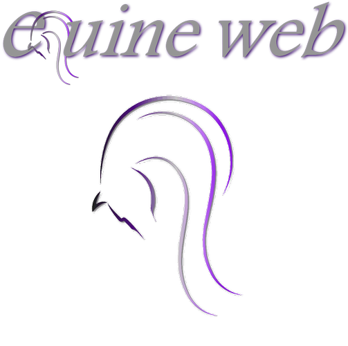 Equine Web Design Services Website Design and Social Media Services
